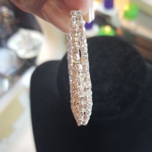 Stylish Cesena Earrings main image 1